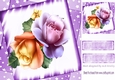 pretty roses purple and peach with stars 8x8