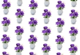 Pretty purple roses in a white vase backing paper