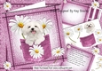 Cute White Dog With Daisies in Pink Denim Pocket  8x8 Mini kit