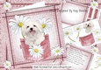 Cute White Dog With Daisies in Rose Denim Pocket  8x8 Mini kit