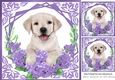 Cute Labrador Puppy with purple flowers 8x8