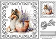 Silver Swirl 8x8 card front with Beautiful Collie and Flowers (two)
