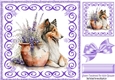 Purple Swirl 8x8 card front with Beautiful Collie and Flowers (one)