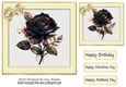 Pretty Black Roses in Cream Frame With Bow 7x7 (six)