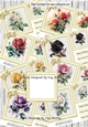 8 Pretty Coloured Roses in Cream Frames With Bows 7x7 BUMPER KIT