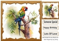 Lovely Parrot on a Branch with Flowers 8x8 (three)