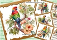  4 Lovely Parrots  on a Branch with Flowers 8x8  Bumper Kit