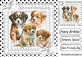 Cute Puppies on lace, black polkdot, white Diamante Bows 8x8 (one)
