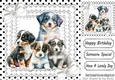 Cute Puppies on lace, black polkdot, white Diamante Bows 8x8 (two)
