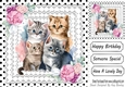 Cute cats & Kittens on lace, black polkdot,with pink roses 8x8 (three)