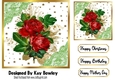 Pretty Red Roses With Ornate Frame With Gold Stars 7x7
