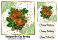 Pretty Orange Roses With Gold Stars and lace 7x7