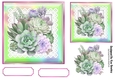 Pretty Rainbow Frame With Lace 7x7 Succulent (Two)