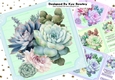  4 Pretty Pastel Coloured Succulents 8x8 Mini Kit