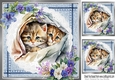 Two Pretty Kittens On Lace with Flowers 8x8 (two)