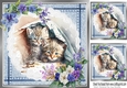 Two Playful Kittens On Lace with Flowers 8x8 (three)