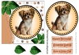 Cute litle dog with leaves (four) 7x7