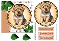 Cute litle dog with leaves (six) 7x7
