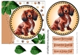 Cute litle dog with leaves (seven) 7x7