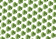 Lovely Green Tropical Leaves Backing Paper (small)