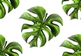 Lovely Green Tropical Leaves Backing Paper (big)