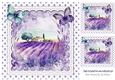 Lavender Fields With Turq/Purple Butterflies/polkadot on Lace 8x8