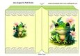 Cute Little Frog On Lace Folded Book (two)