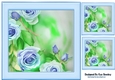 Pretty Blue Roses 8x8 card fronts