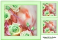 Pretty Green Roses 8x8 card fronts