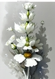 Beautiful White Flowers With Shades of Grey A4 (three)