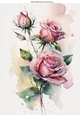 Pretty Pink Roses With Buds A4 (four)