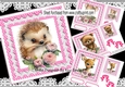 4 Cute Woodland Animals With Pink Polkadot & Bows 7x7 Mini Kit