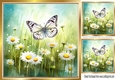 White Daisies And Butterflies 8x8 (Two)