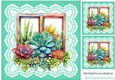Pretty Coloured Succulents Window Frame On Lace 8x8 (Two)