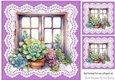 Pretty Coloured Succulents Window Frame On Lace 8x8 (Four)