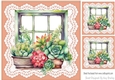 Pretty Coloured Succulents Window Frame On Lace 8x8 (Six)