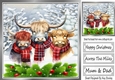 Highland Cows In The Winter With Holly 8x8 (Two)