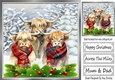 Highland Cows In The Winter With Holly 8x8 (Three)