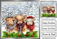 Highland Cows In The Winter With Holly 8x8 (Four)
