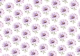 Pretty Purple Daisies Backing Paper
