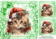 Cute Kitten In Santa Hat In Christmas Ornate 8x8 Frame