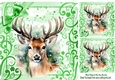 Cute Reindeer In Christmas Ornate 8x8 Frame