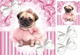 Cute Ballerina Pug On Lace/Pink Stripe 8x8 With Bows