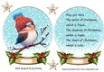 Cute Robin In Snow Globe with Holly & Stars & Insert (Two)