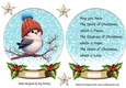 Cute Robin In Snow Globe with Holly & Stars & Insert (Three)
