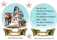 Nativity Scene In A Snow Globe Wih Holly (Three)