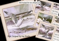 4 Pretty Watercolour Ocean With Seagulls 8x8 Mini Kit