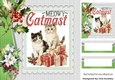 Cute Cats With Holly And Berries 8x8 Card Front