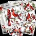 Lovely Holly Berry Frame/Card With Cardinal Birds 8x8 Mini Kit
