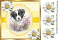 Cute Border Collie Puppy , Yellow Gingham & Daisies 8x8 (Two)